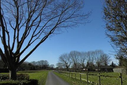 Wohnung Münster Münster-Ost - 2 Zimmer, 65 m&sup2;, 750&euro; | Angebot:25780013