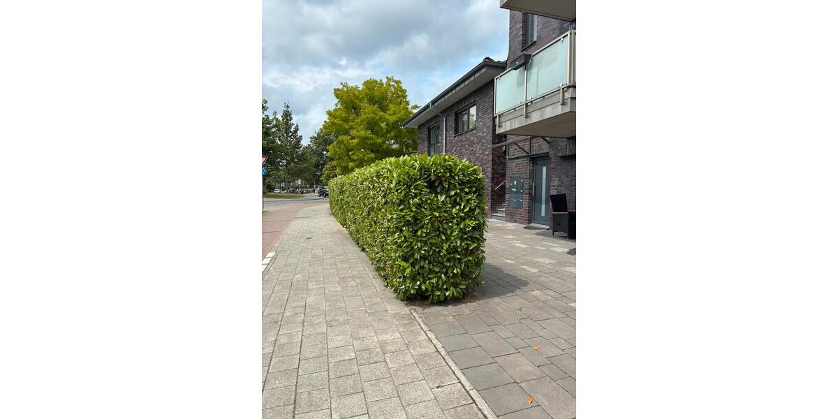 Etagenwohnung Münster Gievenbeck - 2 Zimmer, 48 m&sup2;, 255.831&euro; | Angebot:25710134