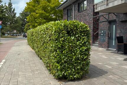 Wohnung Münster Gievenbeck - 2 Zimmer, 48 m&sup2;, 255.831&euro; | Angebot:25710134