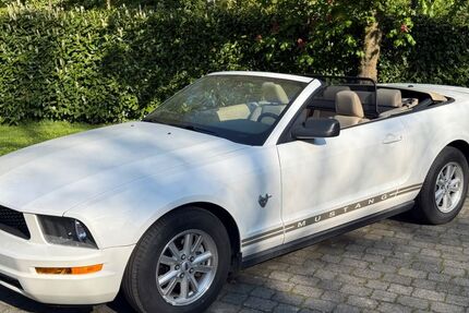 Ford Mustang 53.300 km 11.980 &euro; Münster 48163