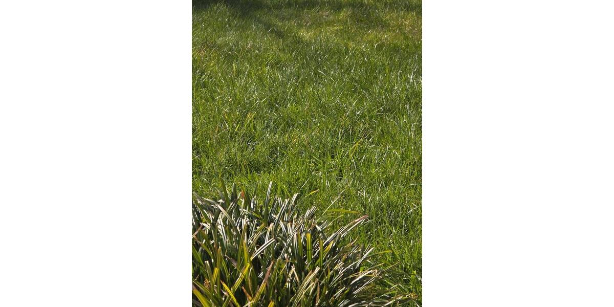 Etagenwohnung Münster - 2 Zimmer, 50 m&sup2;, 1.200&euro; | Angebot:25921597