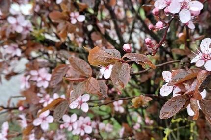 Wohnung Sendenhorst - 3 Zimmer, 75 m&sup2;, 1.240&euro; | Angebot:25833813