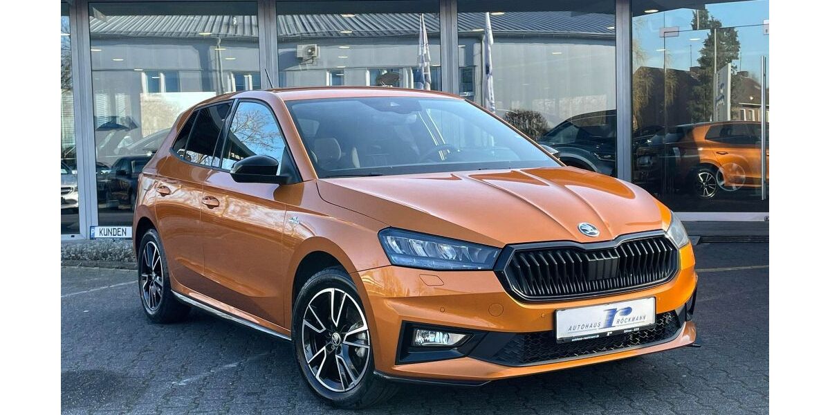 Skoda Fabia 33.356 km 20.690 &euro; Dülmen 48249