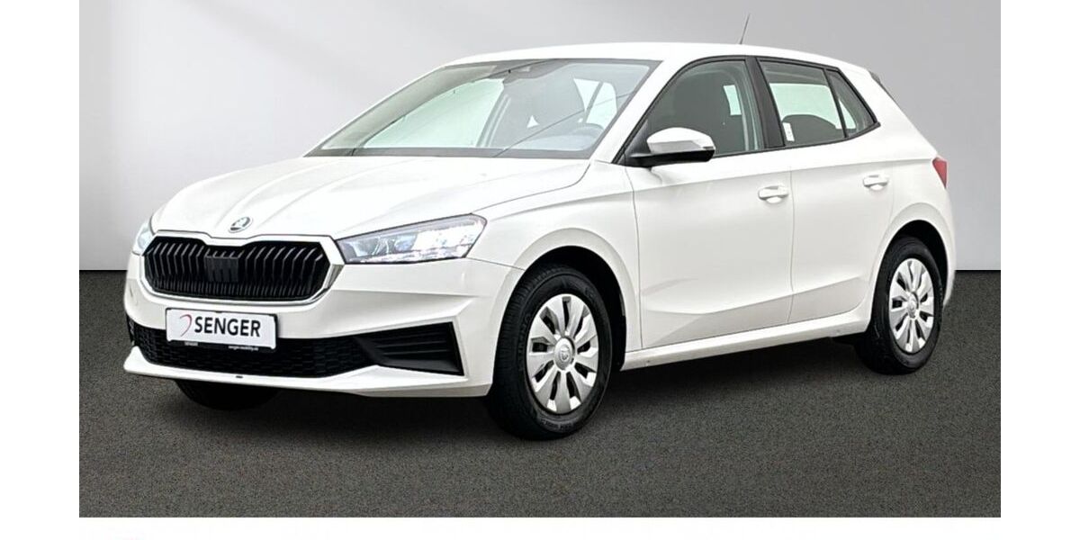 Skoda Fabia 22.413 km 14.880 &euro; Emsdetten 48282