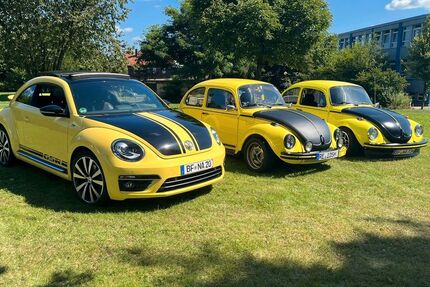 VW Beetle 118.526 km 19.600 &euro; Nordwalde 48356