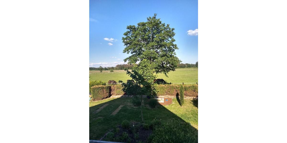 Dachgeschoßwohnung Nordwalde - 6 Zimmer, 150 m&sup2;, 1.350&euro; | Angebot:25216811