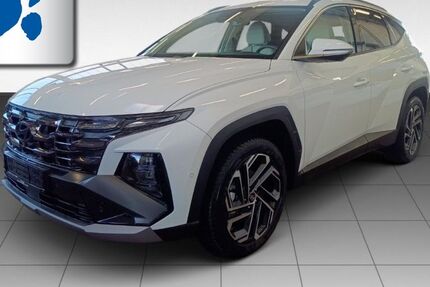 Hyundai TUCSON 8.503 km 34.330 &euro; Emsdetten 48282