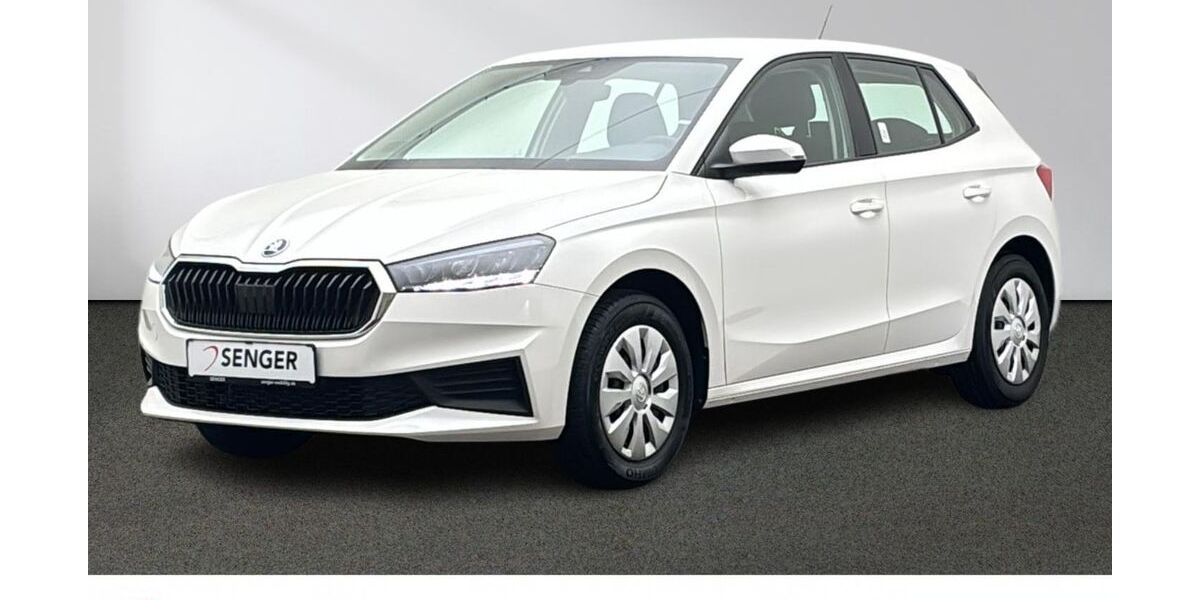Skoda Fabia 25.333 km 18.880 &euro; Emsdetten 48282