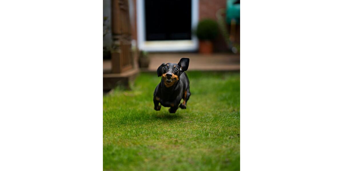 Einfamilienhaus Ascheberg - 5 Zimmer, 136 m&sup2;, 1.999&euro; | Angebot:24654267