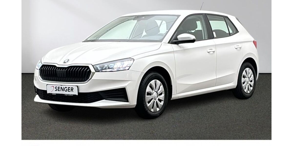 Skoda Fabia 28.038 km 16.980 &euro; Emsdetten 48282