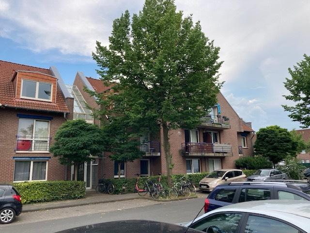 Dachgeschoßwohnung Münster - 2 Zimmer, 42 m&sup2;, 189.000&euro; | Angebot:26765845