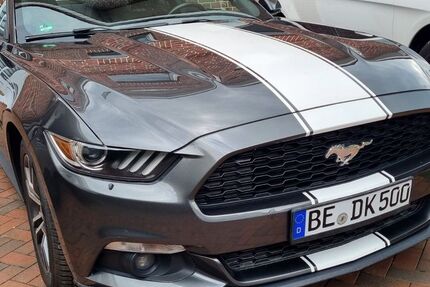 Ford Mustang 216.000 km 12.999 &euro; Ostbevern 48346