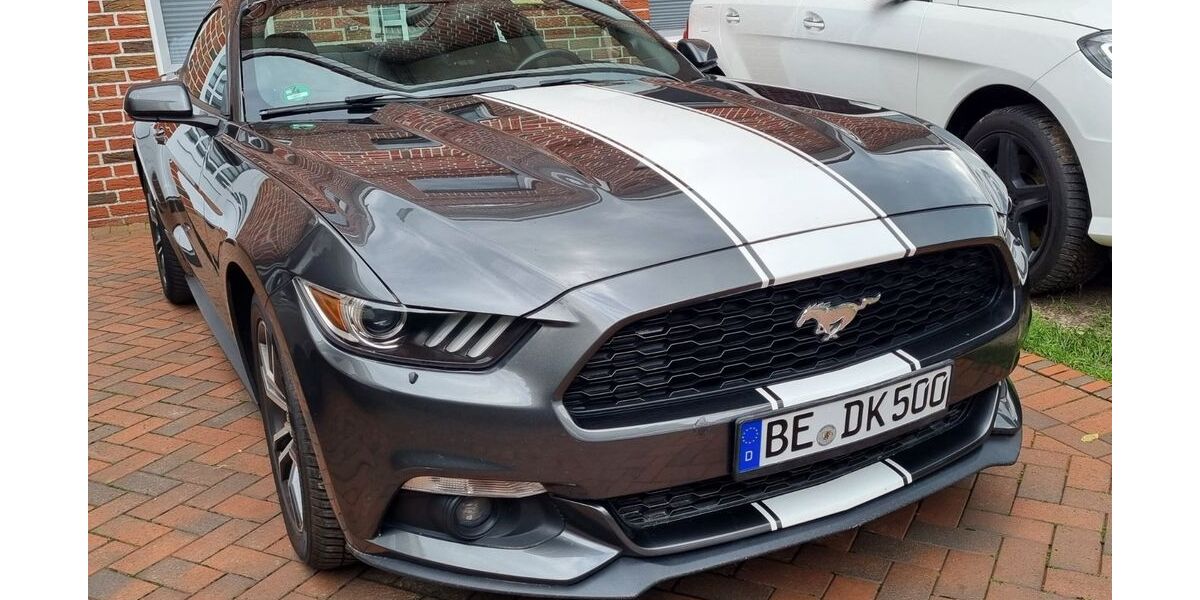 Ford Mustang 216.000 km 12.999 &euro; Ostbevern 48346