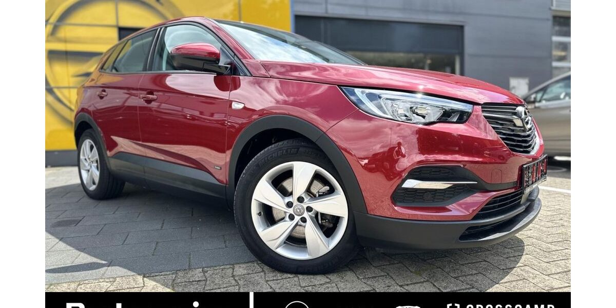 Opel Grandland (X) 30.000 km 19.925 &euro; Steinfurt 48565