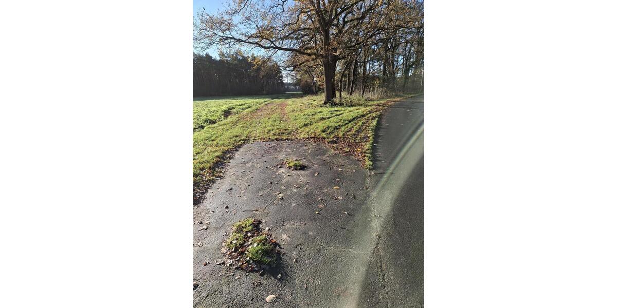 landwirtschaftliche Fläche in Füchtorf - Grundstück Sassenberg Füchtorf | Angebot:24922020