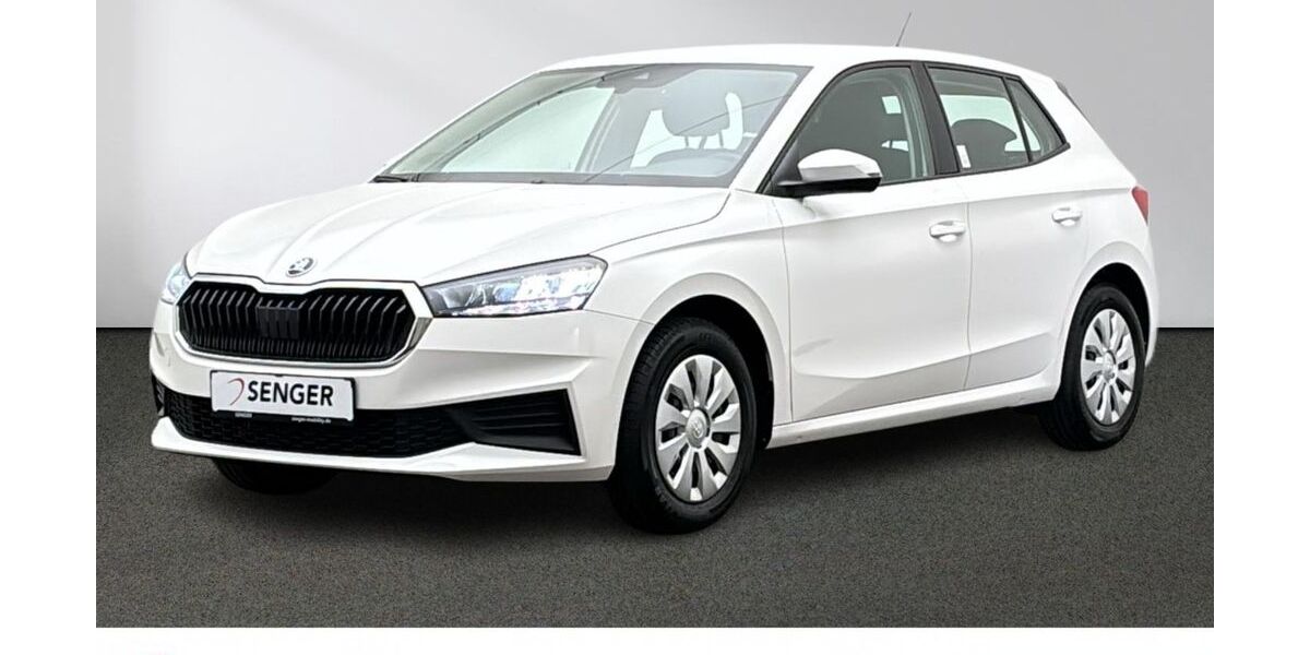 Skoda Fabia 31.036 km 16.780 &euro; Emsdetten 48282