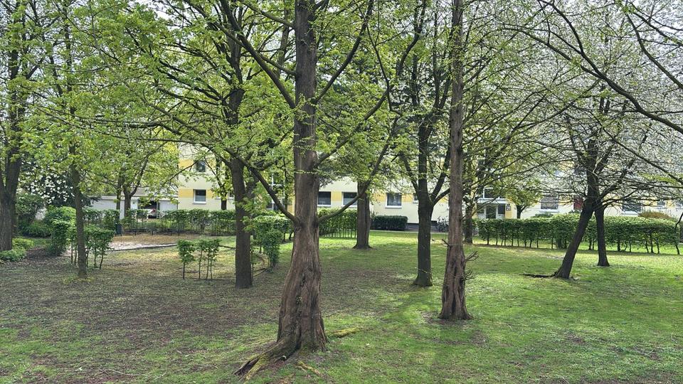 Erdgeschoßwohnung Münster Mitte-Süd - 4 Zimmer, 83 m&sup2;, 750&euro; | Angebot:26591341