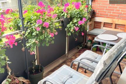 Wohnung Münster Berg Fidel - 3 Zimmer, 74 m&sup2;, 920&euro; | Angebot:26297072