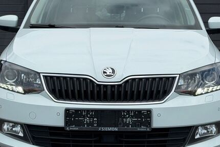Skoda Fabia 171.500 km 6.200 &euro; Dülmen 48249