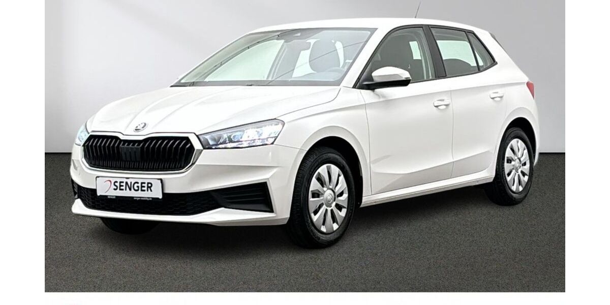 Skoda Fabia 33.235 km 18.880 &euro; Emsdetten 48282