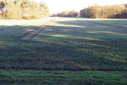 landwirtschaftliche Fläche in Füchtorf - Grundstück Sassenberg Füchtorf | Angebot:24922020