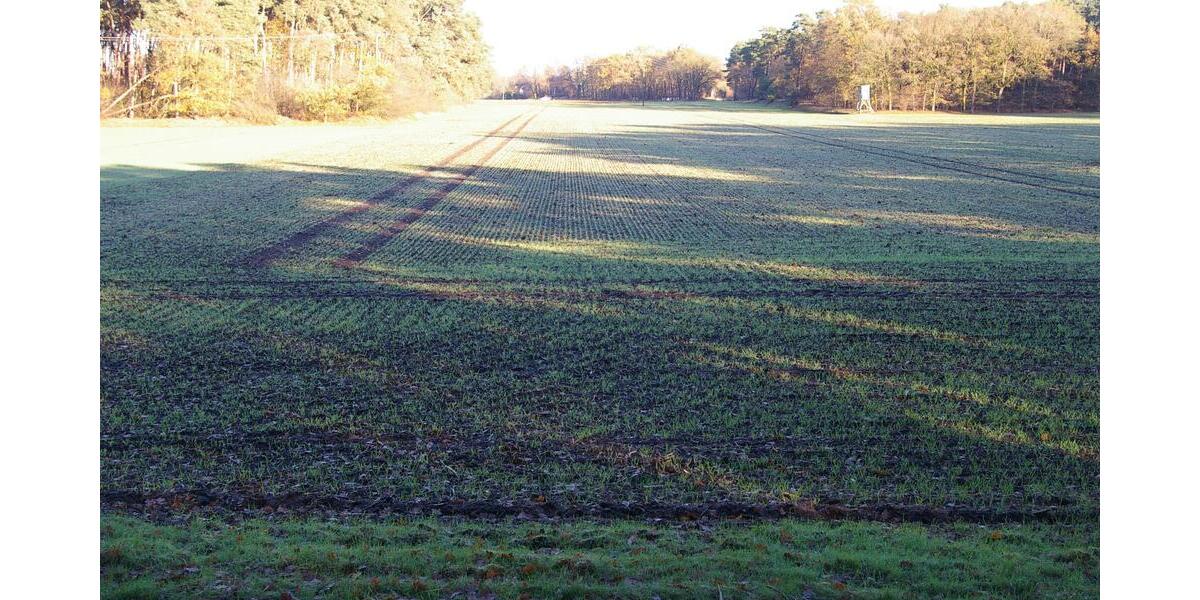 landwirtschaftliche Fläche in Füchtorf - Grundstück Sassenberg Füchtorf | Angebot:24922020