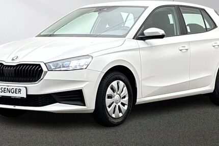 Skoda Fabia 22.413 km 14.880 &euro; Emsdetten 48282