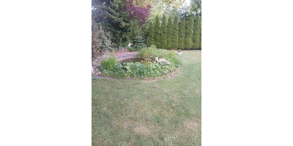 Bungalow Laer - 7 Zimmer, 270 m&sup2;, 425.000&euro; | Angebot:26578915