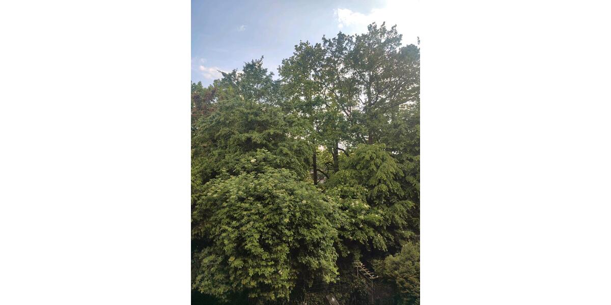 Etagenwohnung Münster Münster-Nord - 3 Zimmer, 76 m&sup2;, 911&euro; | Angebot:26624735