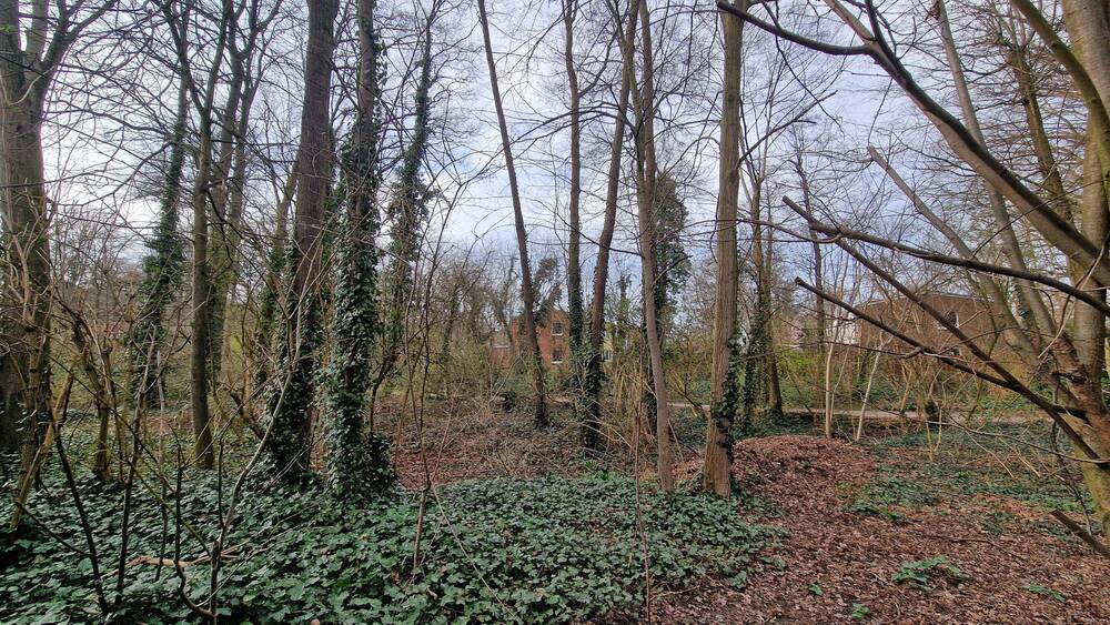 Einfamilienhaus Münster Angelmodde - 6 Zimmer, 530.000&euro; | Angebot:25729868