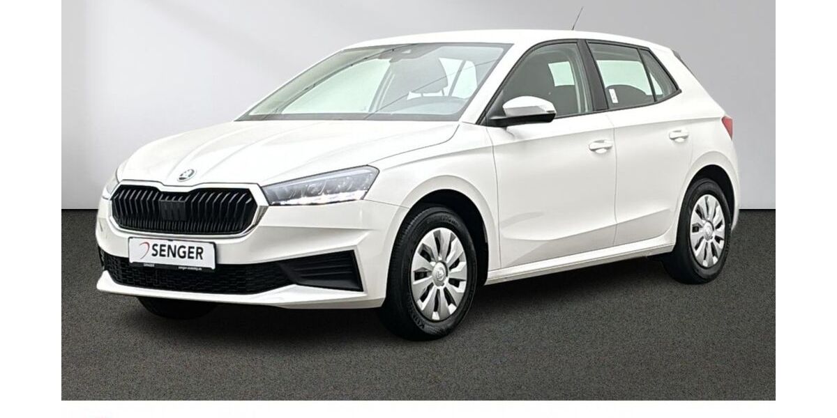 Skoda Fabia 26.745 km 18.880 &euro; Emsdetten 48282