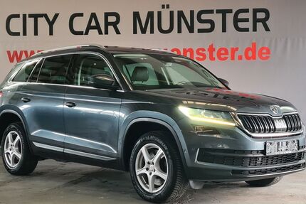 Skoda Kodiaq 245.000 km 17.999 &euro; Münster 48165