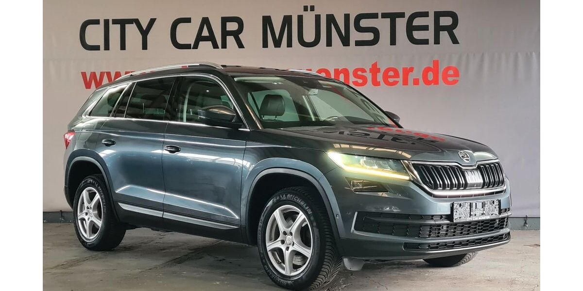 Skoda Kodiaq 245.000 km 17.999 &euro; Münster 48165