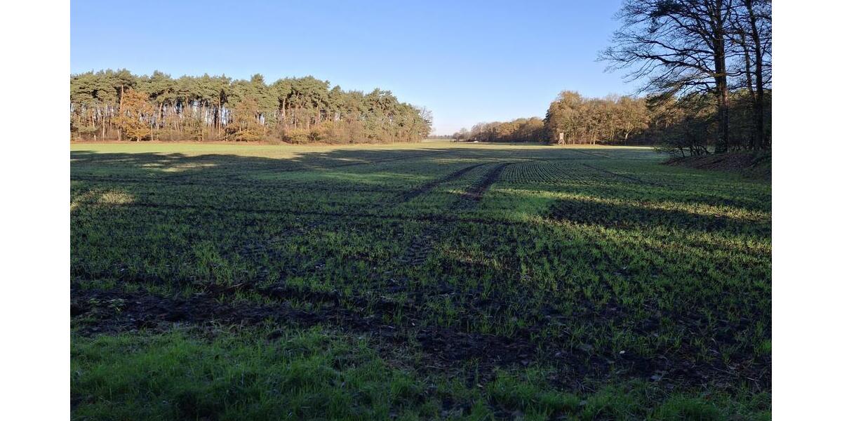 landwirtschaftliche Fläche in Füchtorf - Grundstück Sassenberg Füchtorf | Angebot:24922020