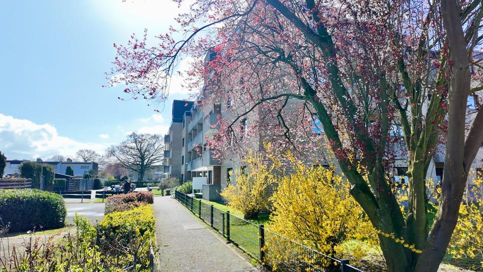 Etagenwohnung Münster Berg Fidel - 2 Zimmer, 59 m&sup2;, 235.000&euro; | Angebot:25960747