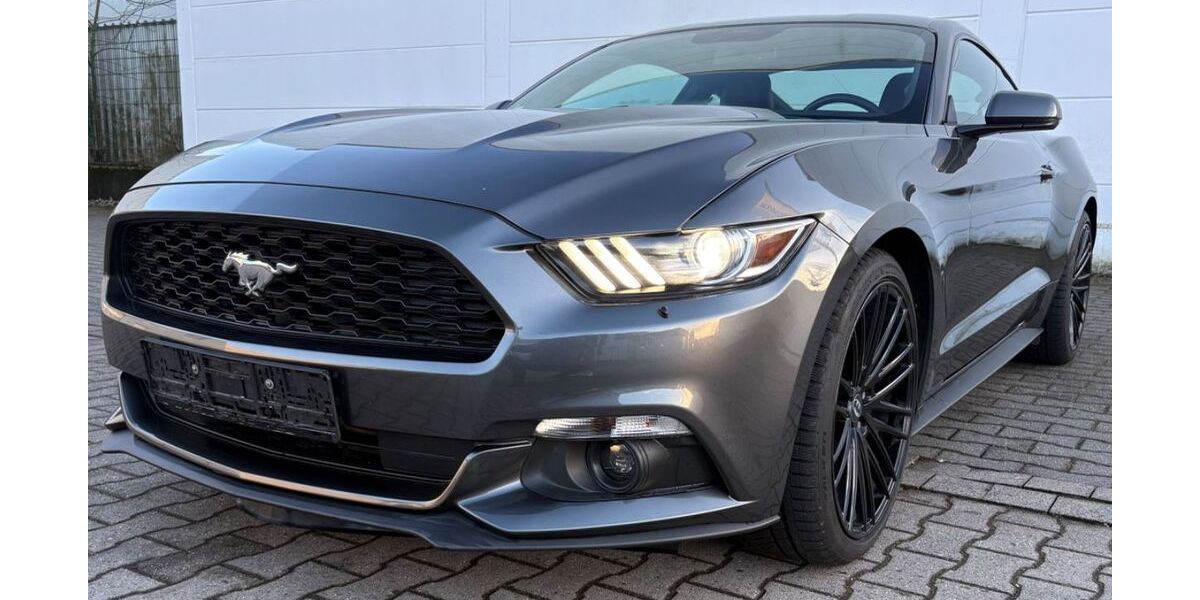 Ford Mustang 60.000 km 23.600 &euro; Münster 48165