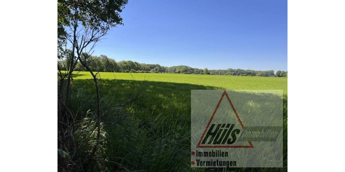 Mehrfamilienhaus, Wohnhaus Ostbevern - 7 Zimmer, 240 m&sup2;, 549.000&euro; | Angebot:25695883