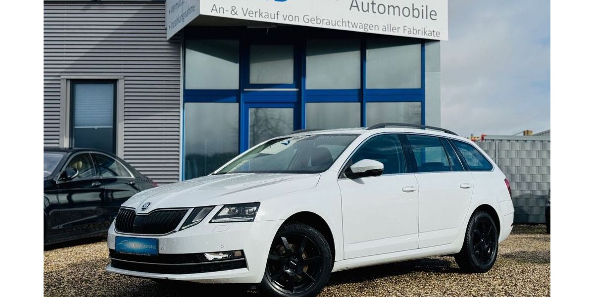 Skoda Octavia 166.249 km 11.490 &euro; Nottuln 48301