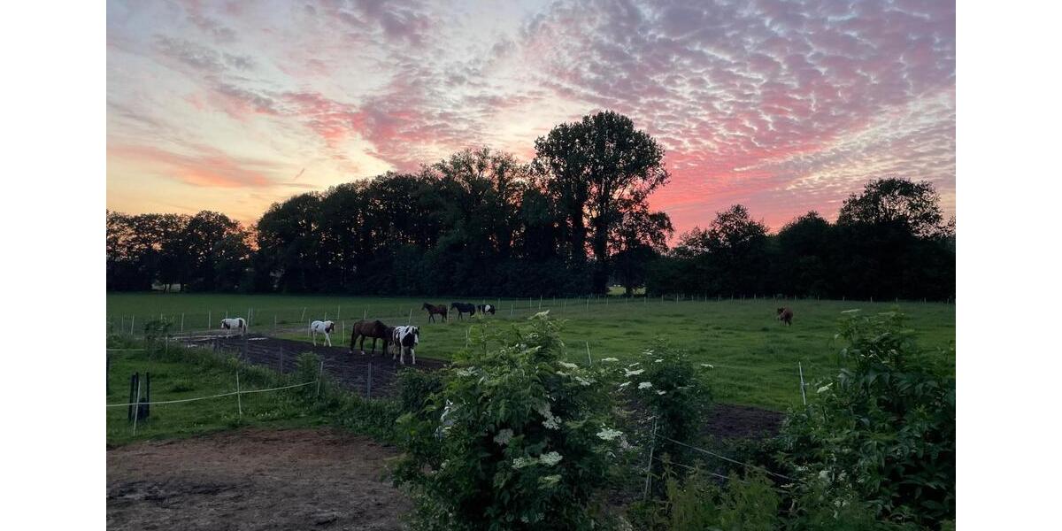 Erdgeschoßwohnung Rosendahl - 2 Zimmer, 55 m&sup2;, 670&euro; | Angebot:25932999