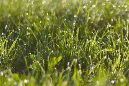 Grundstück Greven - 500.000&euro; | Angebot:9544264