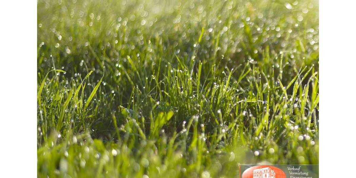 Grundstück Greven - 500.000&euro; | Angebot:9544264