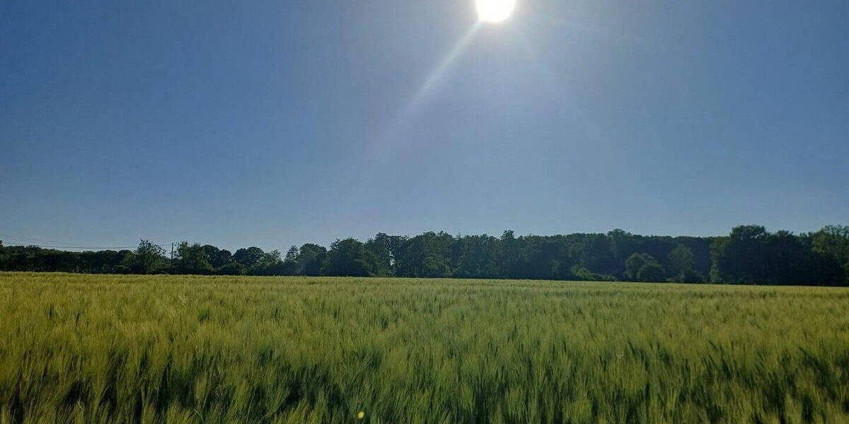 Einfamilienhaus Münster Wolbeck Angelmodde - 1 Zimmer, 390 m&sup2;, 2.550.000&euro; | Angebot:25996541