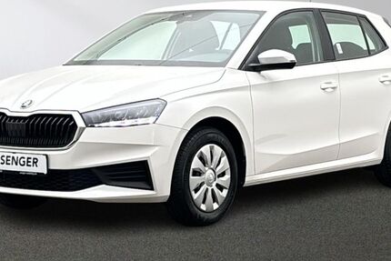 Skoda Fabia 25.543 km 18.880 &euro; Emsdetten 48282