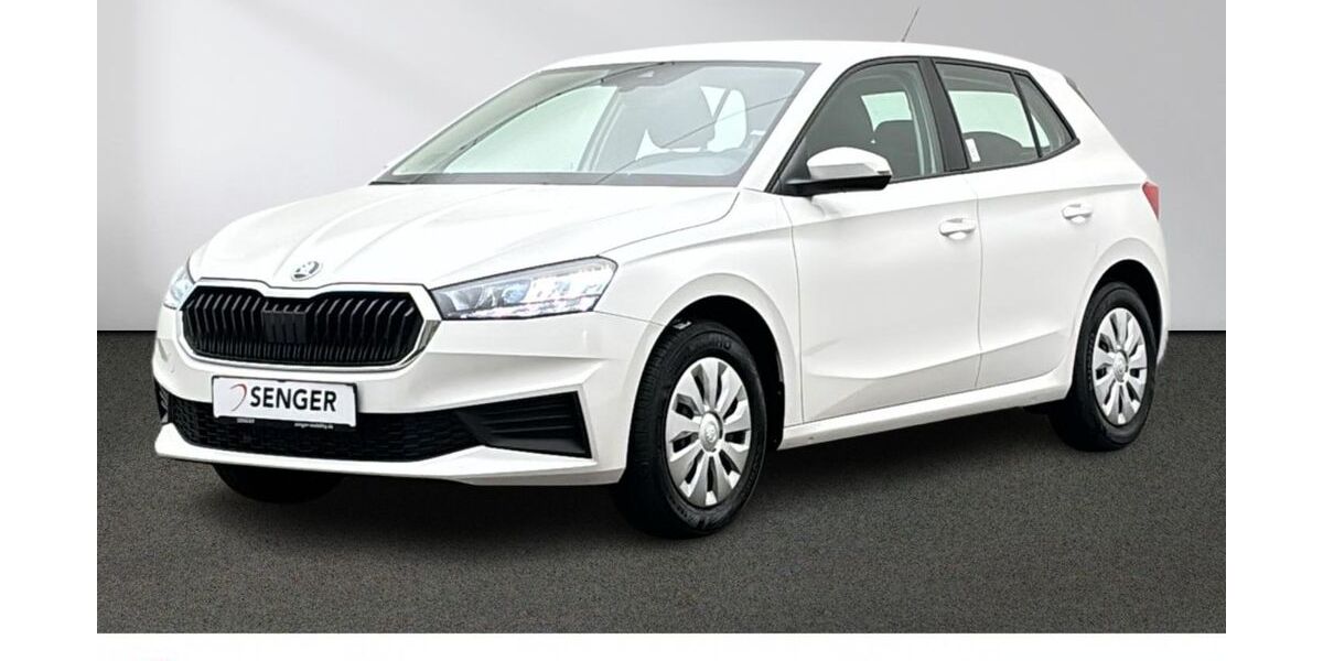 Skoda Fabia 17.316 km 18.880 &euro; Emsdetten 48282