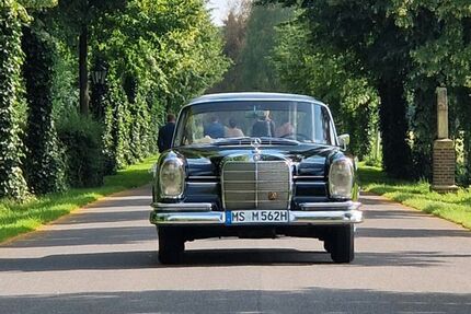 Mercedes-Benz 220 18.500 km 21.000 &euro; Münster 48163