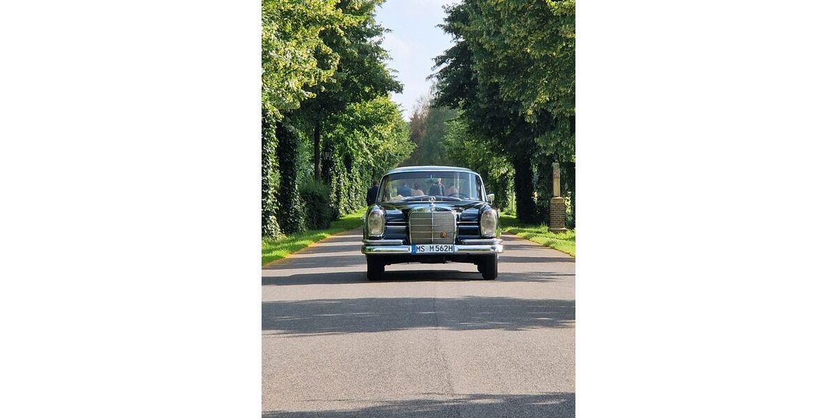 Mercedes-Benz 220 18.500 km 21.000 &euro; Münster 48163