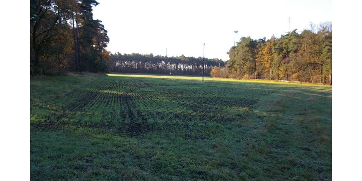 landwirtschaftliche Fläche in Füchtorf - Grundstück Sassenberg Füchtorf | Angebot:24922020