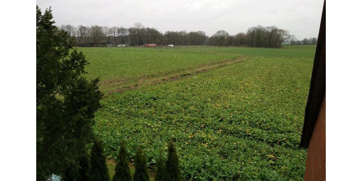 Einfamilienhaus Telgte - 4 Zimmer, 110 m&sup2;, 1.250&euro; | Angebot:25840046